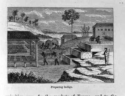 Indigo bereiden, uit Santo Domingo vroeger en nu door Samuel Hazard, uitgegeven 1873 door English School